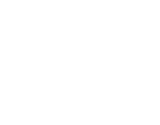 flying fish